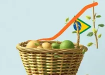 preço da cesta básica