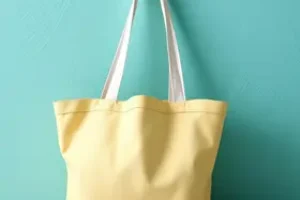 Bolsa Família