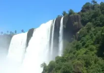 Detran Foz do Iguaçu