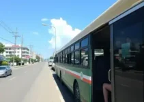 Porto Velho ônibus grátis eleições 2026