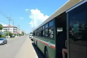 Porto Velho ônibus grátis eleições 2026